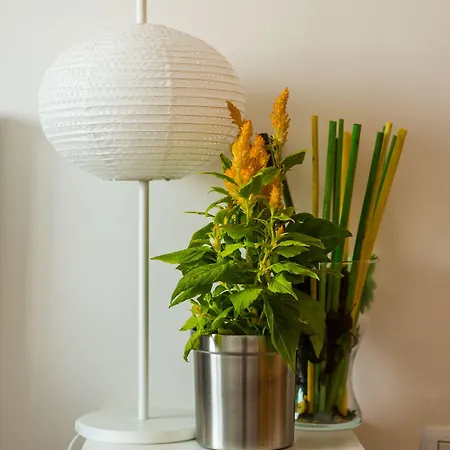 Bhavana Surf House 2*