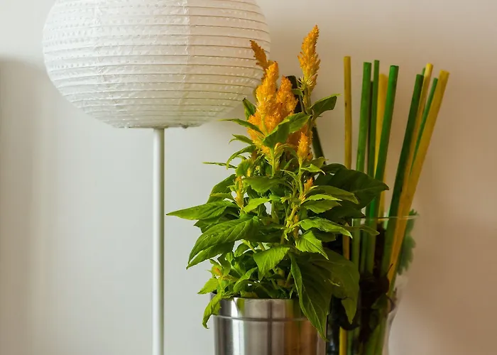 Bhavana Surf House 2*